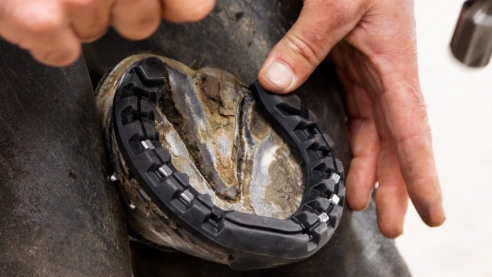 Rubber Horse Shoes