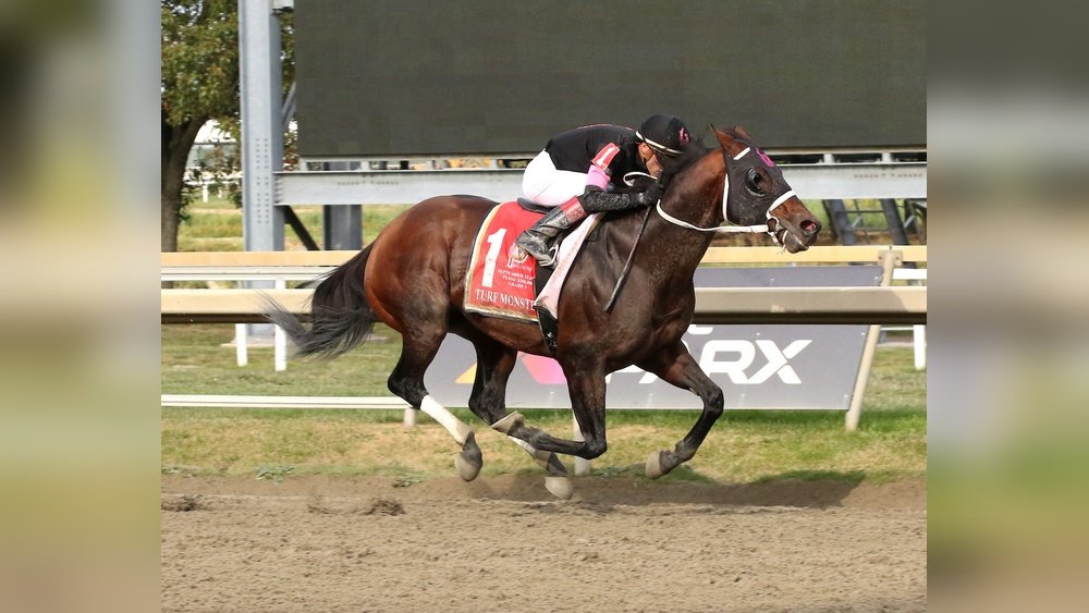 Rx Horse Racing Forum