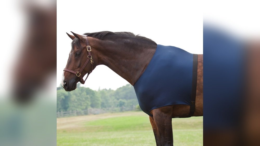 Shoulder Protectors for Horses