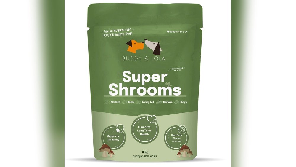 Shroomery What If Dog Eat Shroom