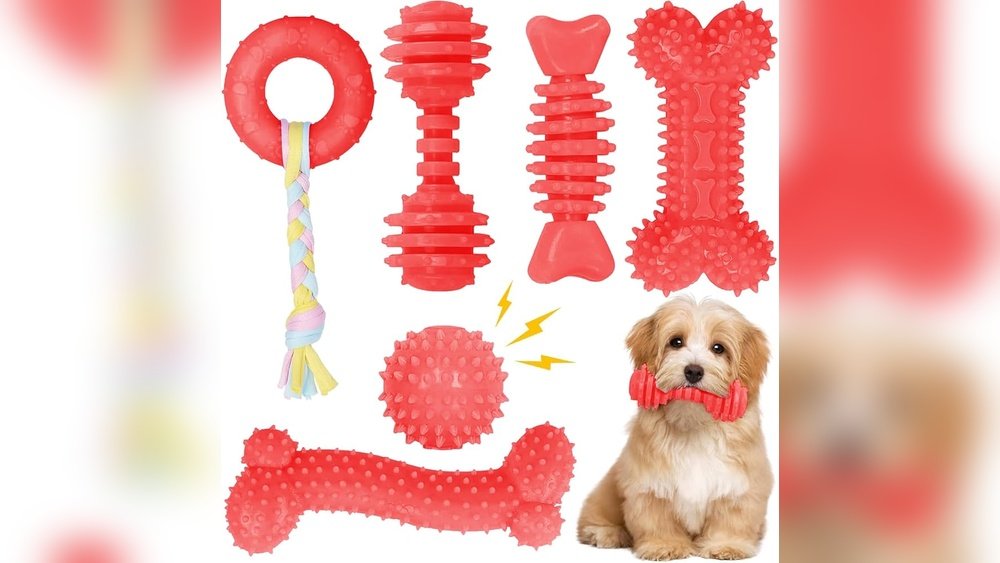 Small Animal Chew Toys