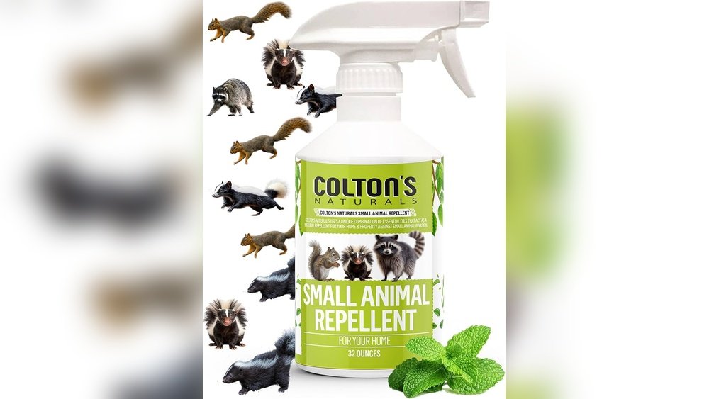 Small Animal Deterrent