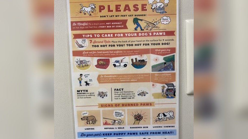 Small Animal Emergency Clinic Amarillo