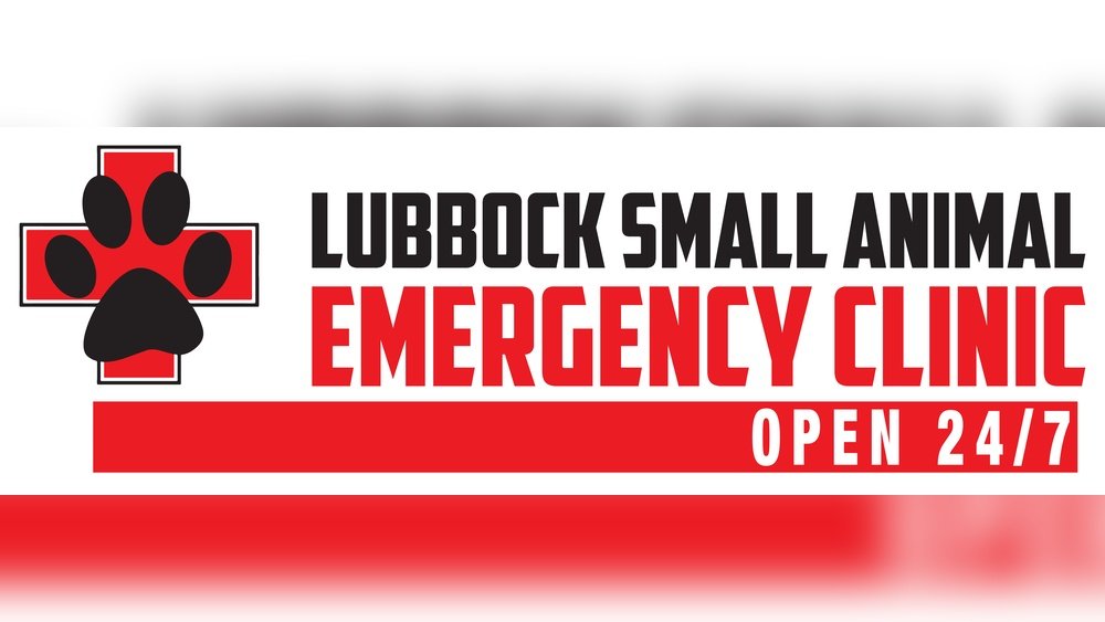 Small Animal Emergency Clinic Lubbock Texas