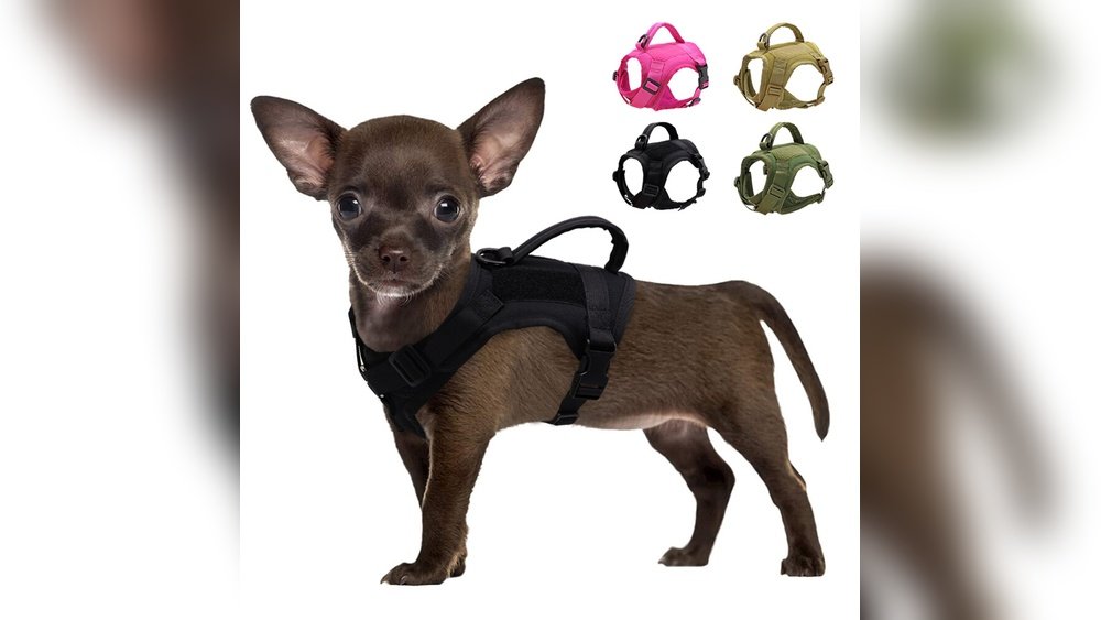 Small Animal Harness