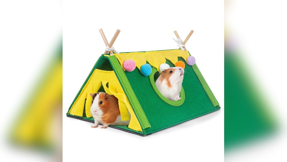 Small Animal Hideout