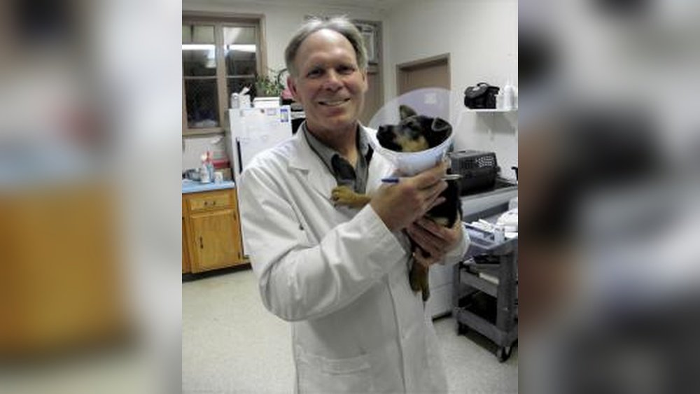 Small Animal Hospital Lake Elsinore