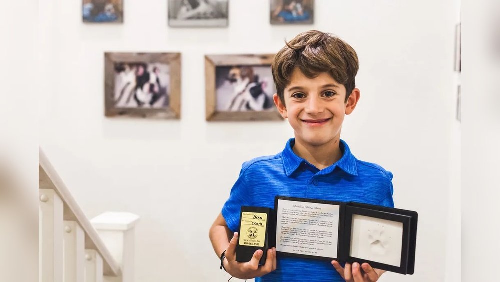 Small Animal Housecalls