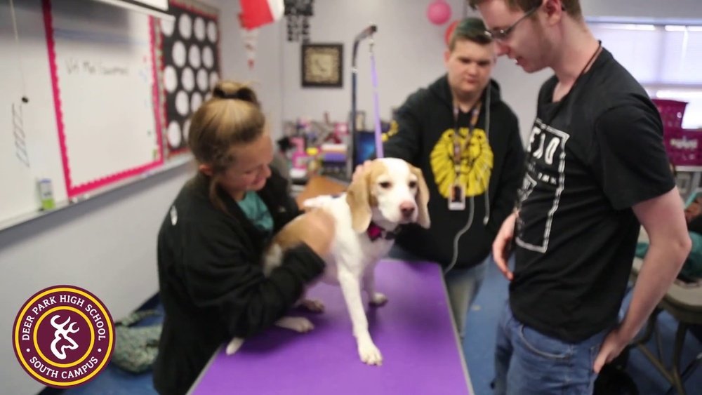 Small Animal Management