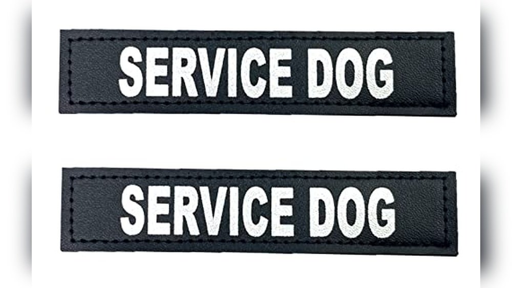 Small Animal Sitting