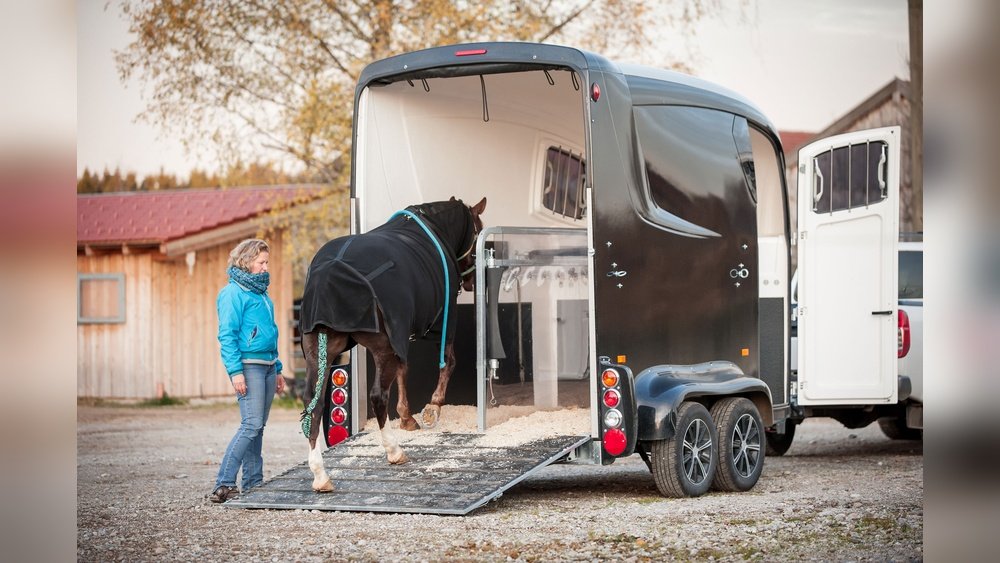 Straight Load Horse Trailer