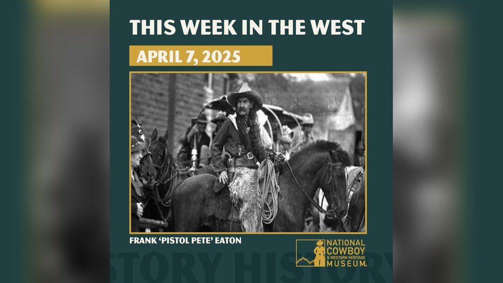 The Art of Horse Riding 7 Little Words