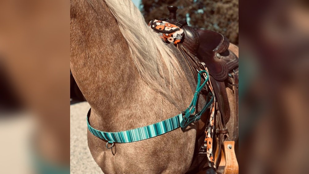 Tripping Collar Horse