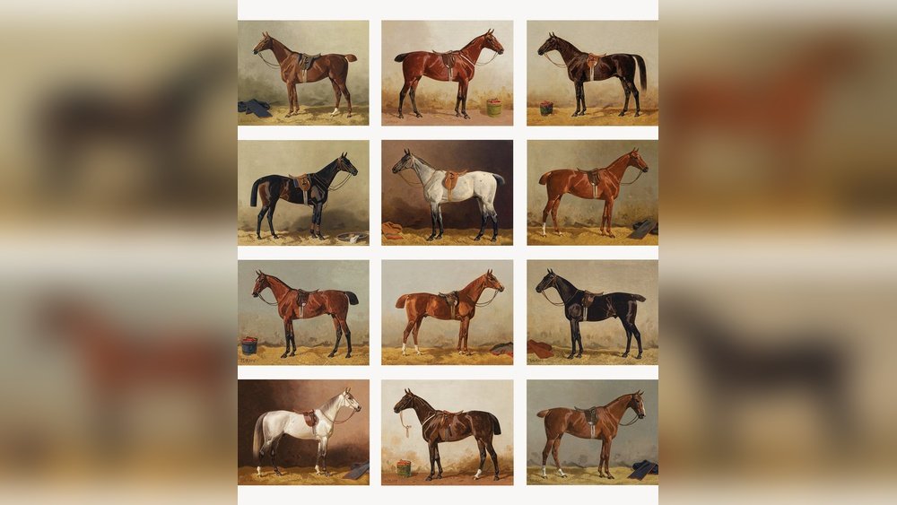Vintage Horse Prints