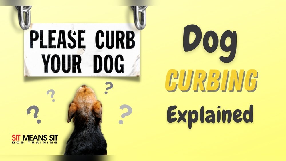 What Does It Mean to Curb Your Dog