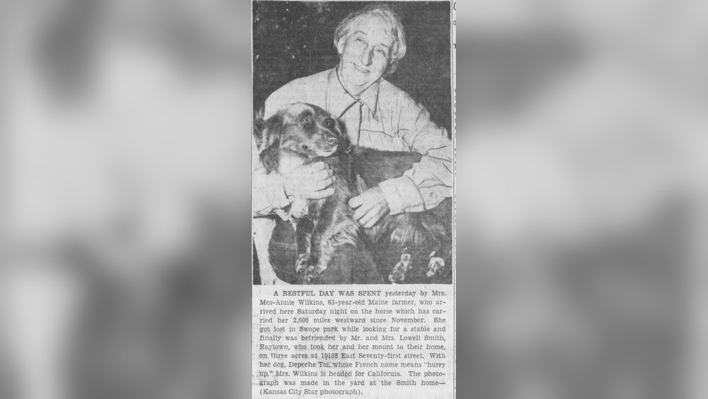 What Happened to Annie Wilkins Dog