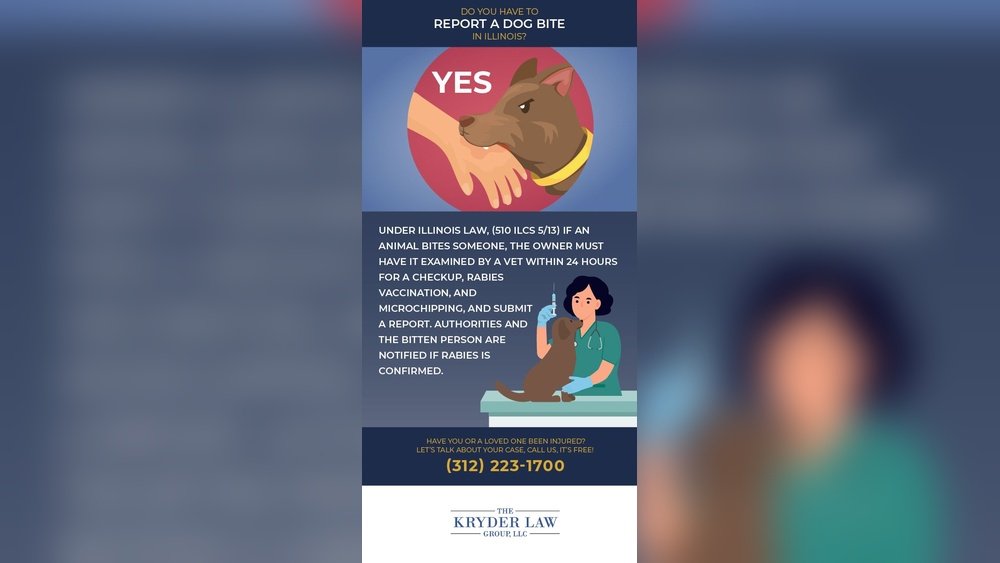 What Happens When Someone Reports Your Dog for Biting