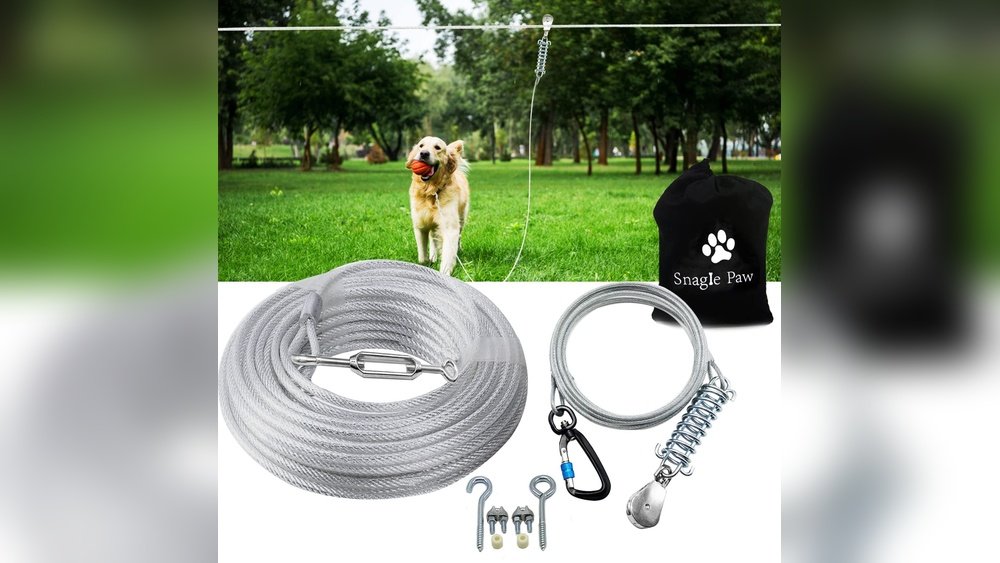 What is a Dog Tie Out