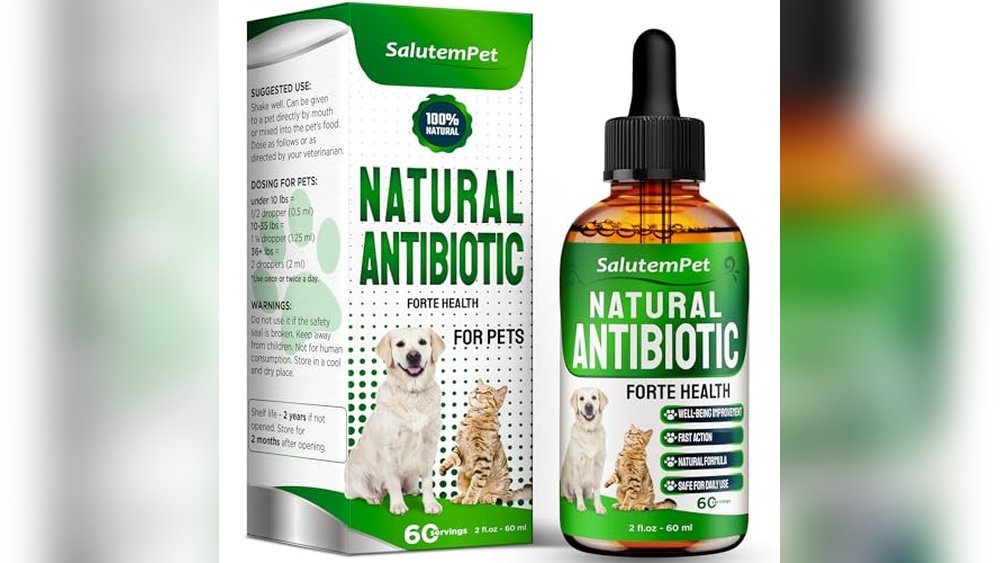 What is the Best Cat for Me Quiz