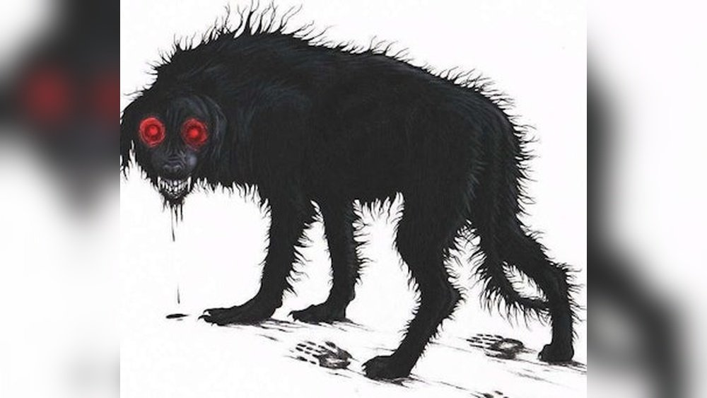 What is the Black Dog While Driving