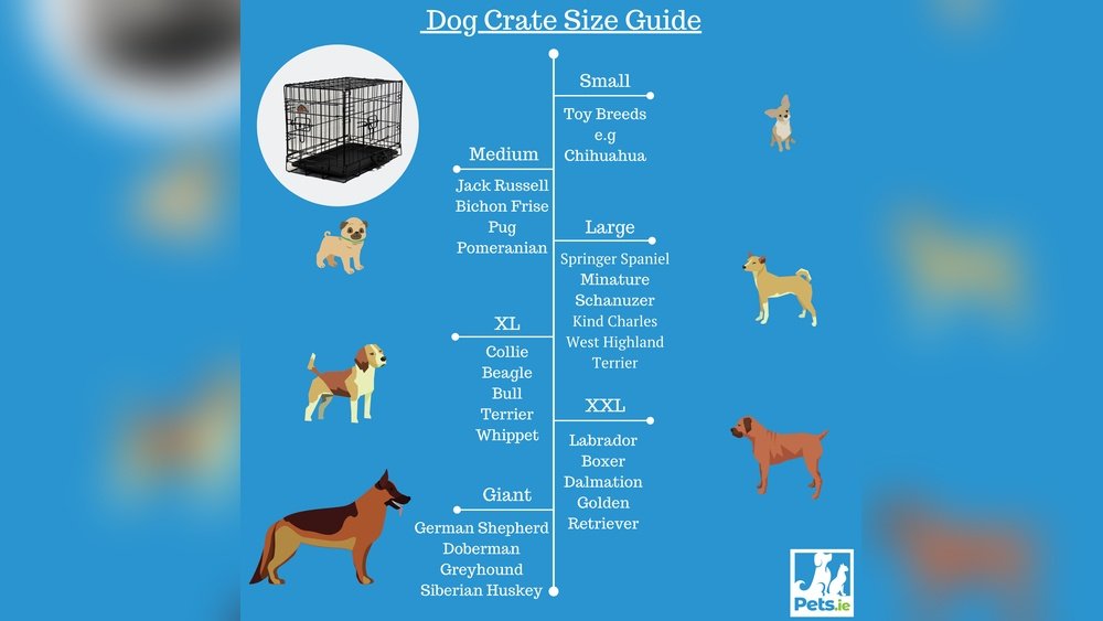 What Size Dog Cage for Labrador