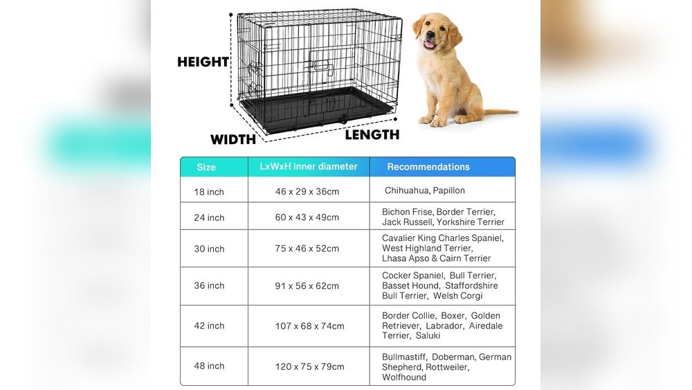 What Size Dog Crate for a Lab