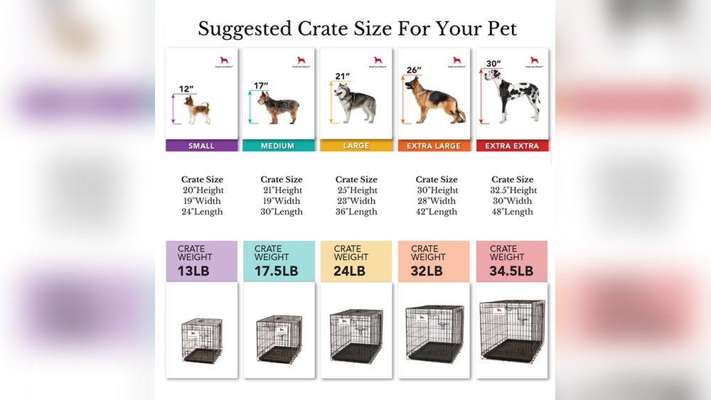 What Size Dog Crate for Golden Retriever