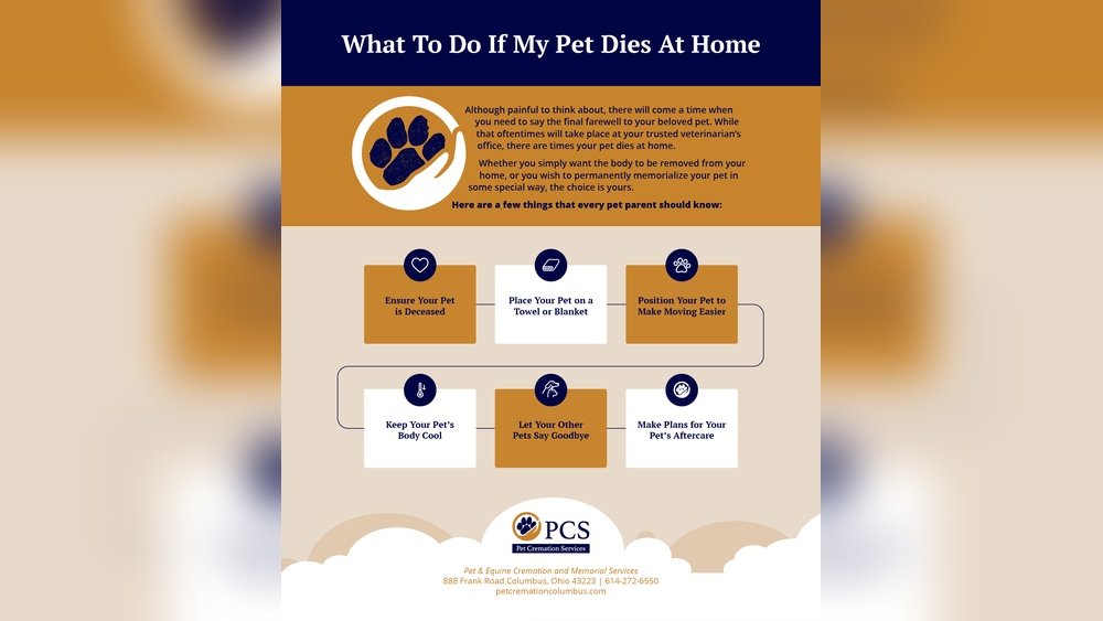 What to Do If Dog Passes Away at Home