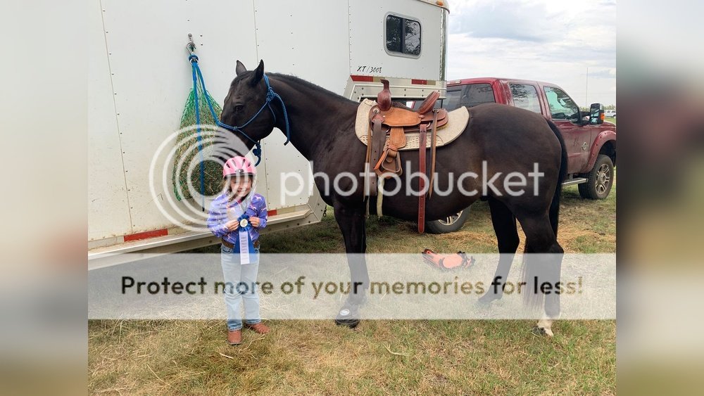 Youth Saddle for Full Size Horse